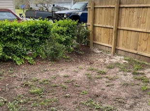 Leaf Removal by Nicholas Harter for Norkita M. in Norfolk, VA