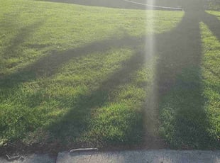 Austin C.'s Lawn Maintenance service result