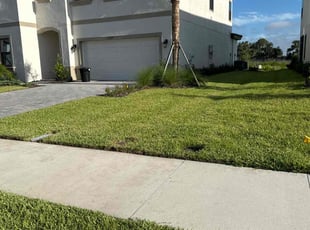 Henry R.'s Lawn Service service result