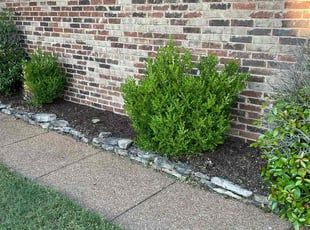 Weeding by Corneilus Henard for Matt F. in Oakland, TN