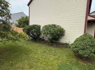 Bush Trimming by Ronald Coleman for Bret g. in Columbus, OH