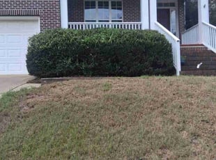 Cleanups by Khalid Muhammad for Dan C. in Holly Springs, NC