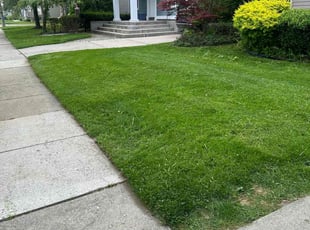 Gerilyn C.'s Lawn Service service result