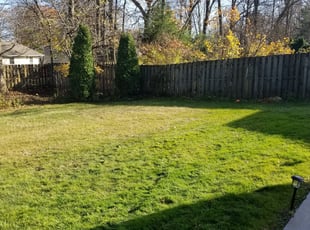Cleanups by Eugene Makowski for Michael F. in Brunswick, OH