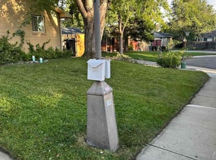 Ellen S.'s Lawn Service service result