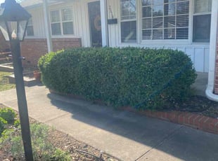 Bush Trimming by Joey Handley for Lyah B. in Tulsa, OK