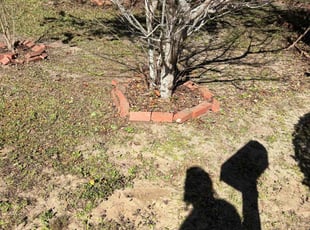 Weeding by Kenneth Rome for Sheila P. in Pensacola, FL