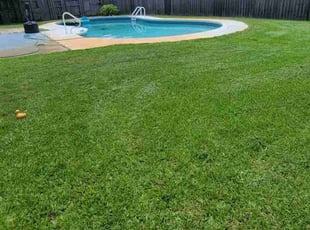 Rodney M.'s Grass Cutting service result