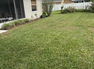 Cleusa R.'s Lawn Mowing service result