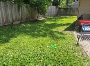 Guest R.'s Lawn Care service result