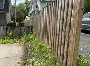 Cleanups by Alphonso Hoke for Nia A. in Baltimore, MD