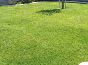 Bobby L.'s Lawn Mowing Service service result