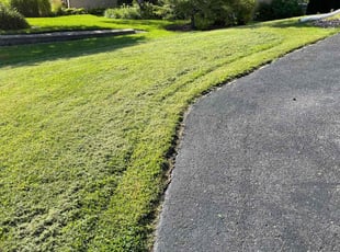 Vicky T.'s Lawn Mowing service result