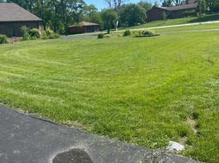 Glendor M.'s Lawn Mowing service result