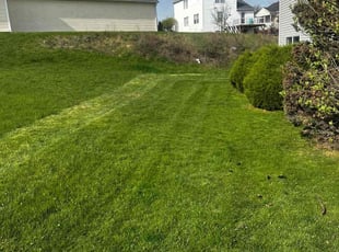 Rohit B.'s Lawn Care service result