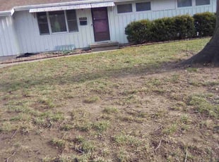Leaf Removal by Laura Olivares for Justin F. in Mission, KS