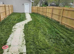 Corey F.'s Lawn Mowing Service service result