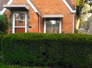 Bush Trimming by Shameka King for Justin M. in Toledo, OH