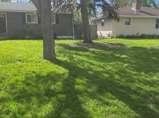 Vicki B.'s Grass Cutting service result