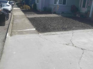 Weeding by Michael Leftridge for Yasmin A. in Albany, CA