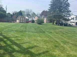James J.'s Grass Cutting service result