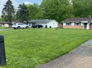 Dominique M.'s Lawn Service service result