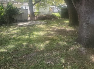 Cleanups by Kalotta Peterson for Carmella T. in Tampa, FL