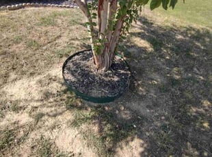 Weeding by Francisco Rios for Tina M. in Burleson, TX