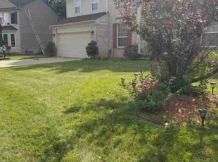 Patricia B.'s Lawn Service service result