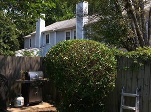 Bush Trimming by Kevin Marshburn for John N. in Virginia Beach, VA