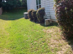 Bush Trimming by Joshua Walker for Rashell D. in Lithonia, GA