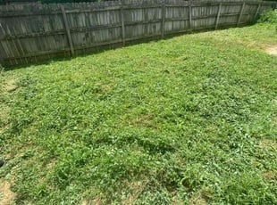 Cleanups by Bobby Schoolcraft for Susanna N. in Dayton, OH
