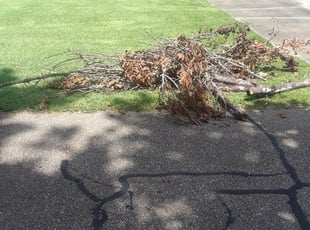 Cleanups by Whitney Ransom for Mary T. in Baton Rouge, LA