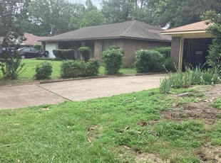 Bush Trimming by Byron Gordy for Jim H. in Jackson, MS