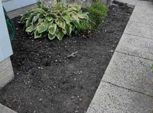 Weeding by Icaro Dos Santos for Melvin H. in Frederick, MD
