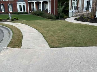Rita S.'s Lawn Mowing service result