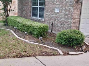 Bush Trimming by Joshua Cabiya for Vijayalakshmi V. in Cedar Park, TX