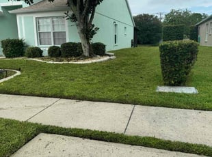 Philip M.'s Lawn Mowing Service service result
