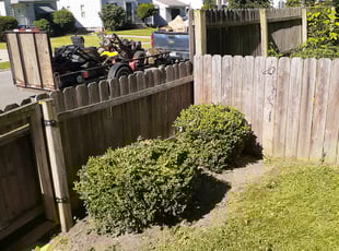 Bush Trimming by Darnell Stribling for Selina H. in Cleveland, OH