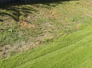 Weeding by Karina Reyes for Stephanie G. in Gainesville, GA