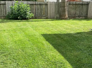 Amon M.'s Lawn Care service result