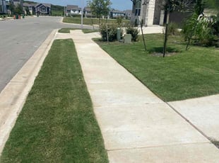 Charles P.'s Lawn Mowing Service service result