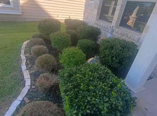Bush Trimming by Wilmer Guevara for Kelsey S. in Leander, TX