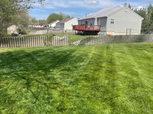 Alita T.'s Lawn Mowing service result