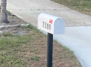 Bush Trimming by Robert Phillips for Douglas H. in Clearwater, FL