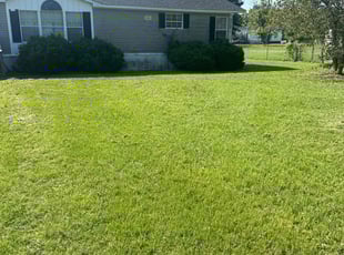 Dwight B.'s Lawn Mowing service result