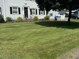 Janette B.'s Lawn Care service result