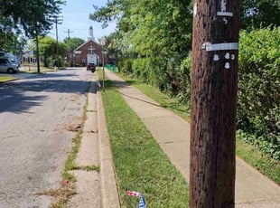 Delores G.'s Yard Cutting service result