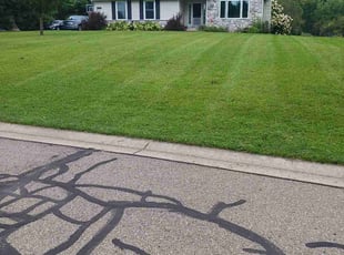 Royetta F.'s Lawn Mowing service result