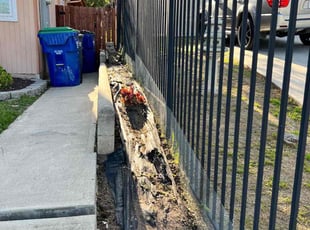 Weeding by Keith Dalke for Alfred P. in Spring Valley, CA